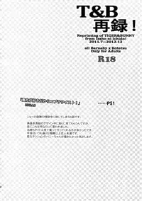 (C88) [Isshou ni Ichido! (Mokkori)] T&B Sairoku! (TIGER & BUNNY)