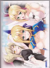 (C83) [Unizo (Unikura)] Harem Type ~Chouki o Motazu Shite Nani ga Ou ka~ (Fate/Stay Night)