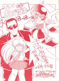 (CR13) [Studio 7, L.M Henshuubu (Various)] Genji Tsuushin Agedaman Ge no Maki (Genji Tsuushin Agedama)