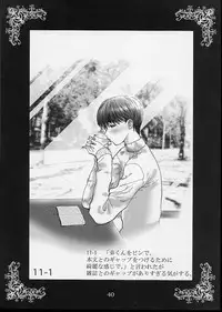 (C62) [Evil aratame Baroque Store (Miyabi Tsuzuru)] Kanou Shimai - Biniku no Kyouen