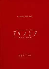 (C71) [Yakan Hikou (Inoue Tommy)] Yuki no Shita (Fate/hollow ataraxia)