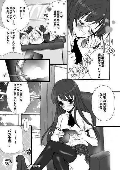 (C81) [Hanzai Tengoku (Hasei Agana)] Harem End (Boku wa Tomodachi ga Sukunai) [Digital]