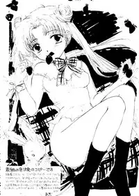 (C51) [Sailor Q2 (Ryö)] SFW Sailor Q2 Fuckin' Works (Bishoujo Senshi Sailor Moon)