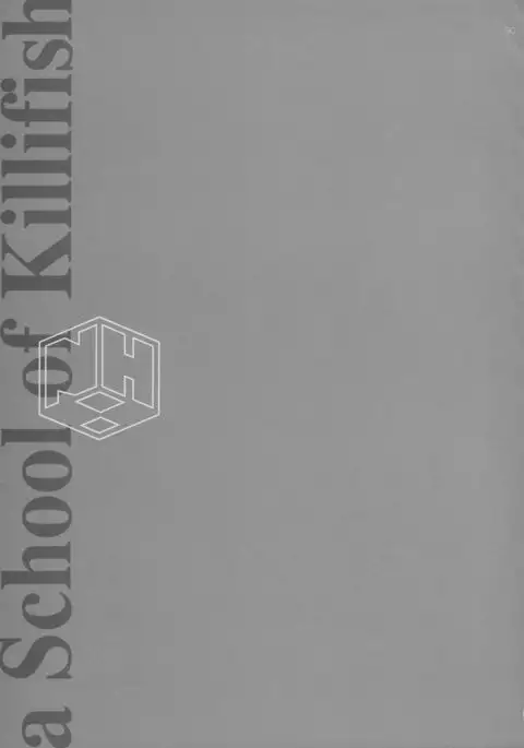 A SCHOOL OF KILLIFISH {doujins.com}