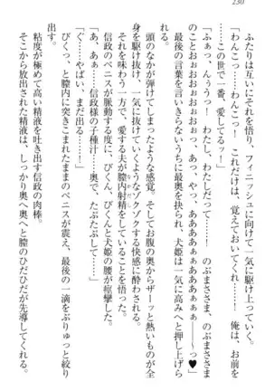 戦国犬姫!