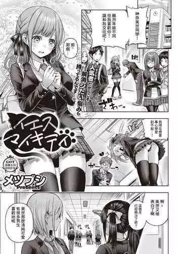 Yes My Kitty | 尊命我的小貓咪