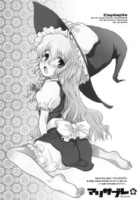 (C70) [RiceCandy (Various)] Marisabure (Touhou Project)