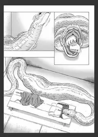 [Kasetsu Shirokuma Kakko Yoi (Yoikuma)] Onago no Ikie | Live Bait [English] [CrayZayJay] [Digital]