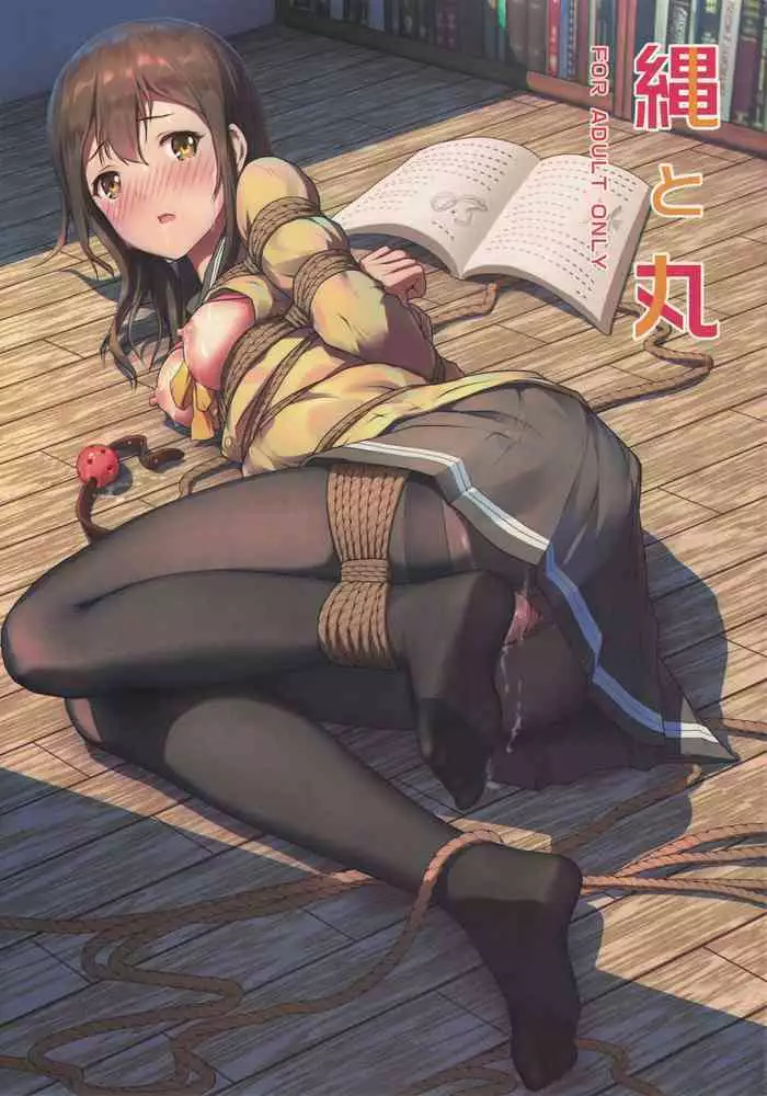 Darenimo Ienai Maru himitsu + vol.12