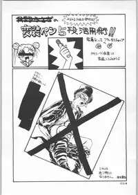 (C45) [Uroboros (Various)] Paraselene (Bishoujo Senshi Sailor Moon)