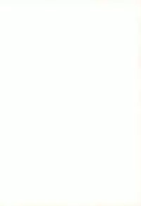 [RIROLAND (Kuuya, Satomi Hiroyuki)] MY FAVOURITE (Digimon Adventure)