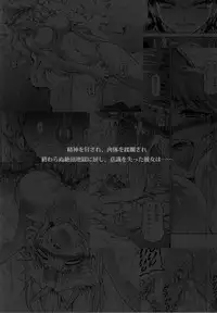 (C86) [Yokohama Junky (Makari Tohru)] Solo Hunter no Seitai 4 The third part (Monster Hunter) [Textless]