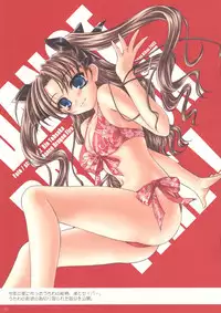 (C69) [Yakan Hikou (Inoue Tommy)] DOGS can't see COLORS (Fate/hollow ataraxia)