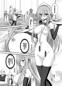 [valssu (Charu)] Melon ga Chou Shindou! R14 (Tales of the Abyss) [Chinese] [流星汉化] [Digital]