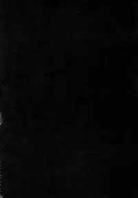 (C90) [Yokohama Junky (Makari Tohru)] Solo Hunter-tachi no Seitai (Monster Hunter) [Chinese] [中国翻訳] [VK1062喵&萌紋 漢化]