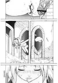 [DPP] usuyami Twillight's Last Gleaming (nadesico)