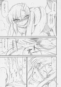 (C70) [EINSATZ GRUPPE (Charlie Nishinaka)] PRISONER 8 Miserable Birds (Gundam SEED DESTINY)