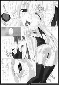 (COMIC1☆01) [Moehina Kagaku (Hinamatsuri Touko)] St. Lily's Day 02 (Mahou Shoujo Lyrical Nanoha)