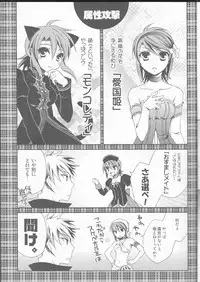 (C71) [Mayonaka no Oukoku, Samurai Rockers (Various)] Candy Stripper (Tales of the Abyss)