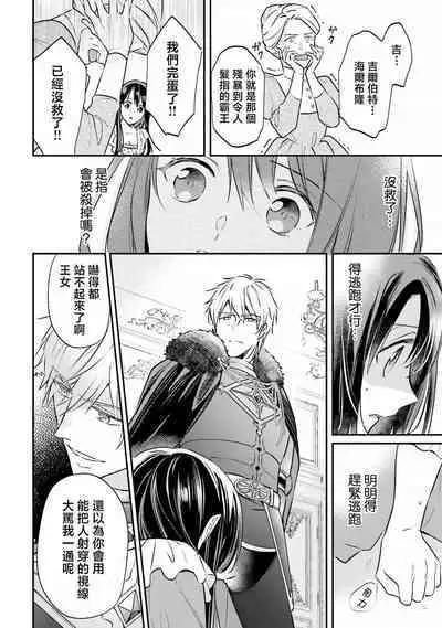 isekai de migawarihime ninari haou ni ubawaremashita | 在异世界成为了替身公主被霸王掳走了 1-12 end
