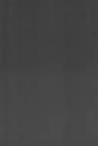 (Ryonaket 3) [Haka no Shita ni iru (Various)] Touhou Roadkill Joint Publication (Touhou Project)