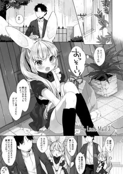My Little Maid Soushuuhen