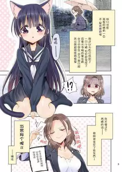 [Waterfall (Takano Saku)] OL-san ga Neko o Hirou Hanashi. Vol.2 [Chinese] [透明声彩汉化组] [Digital]