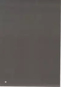 (C90) [Tetsu no Otoshigo (Chirorian)] Akai Hon. - The Red Book. (Touhou Project)