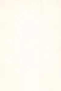 (C76) [ZNN (Zinan)] Sakura Memorial (Cardcaptor Sakura)