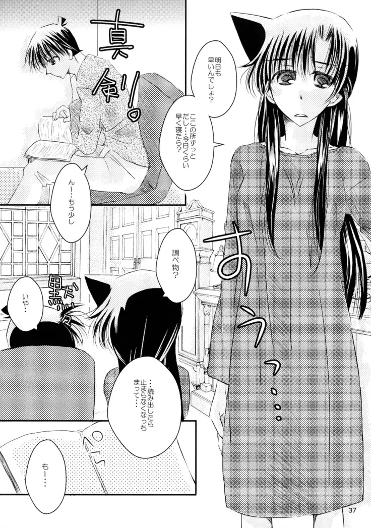 MACARON-CHOCOLAT-DOLCE