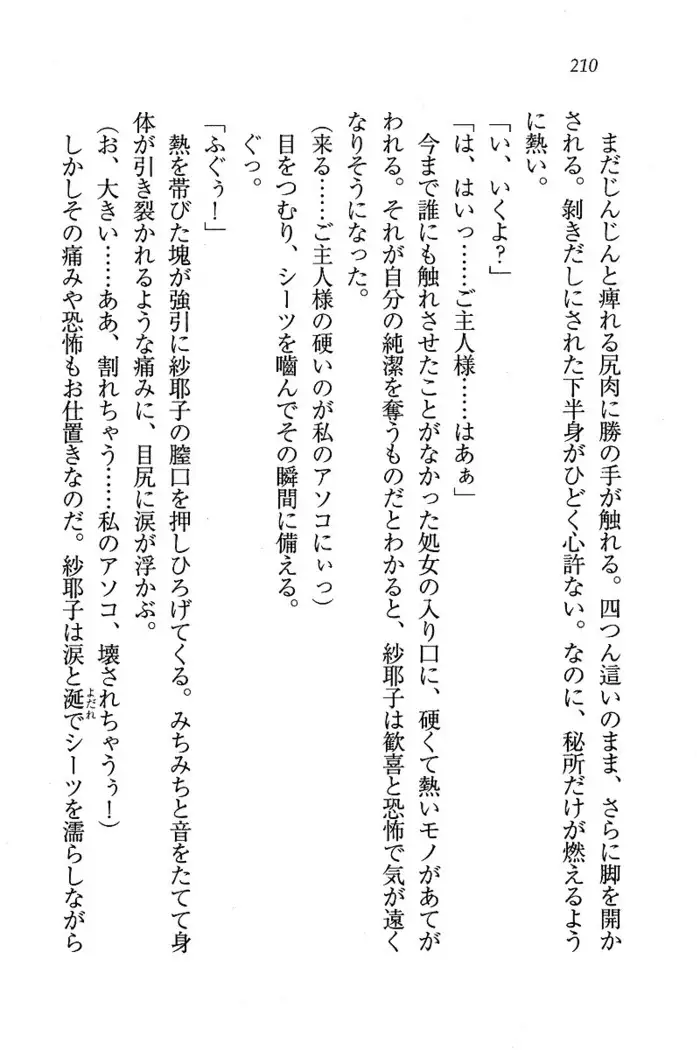 メイドなります ! ~おしおき
