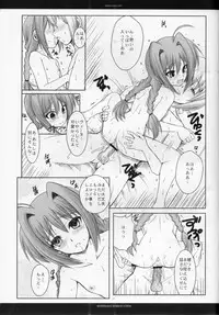 (C75) [R-WORKS (Roshuu Takehiro)] Rosso Favilla Due (Mahou Shoujo Lyrical Nanoha)