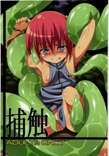 (C78) [Al Dente (Tsuna)] Hoshoku