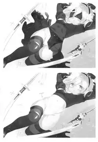 YoRHa 2B-gata Shoushizai Kitai no Toriatsukaidoki ni Okeru Chuui Jikou Tsuutasu