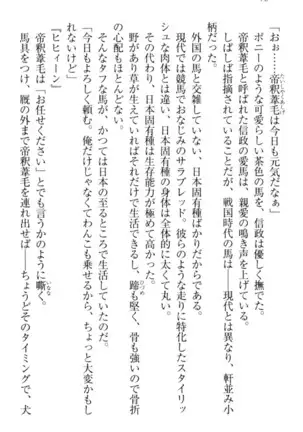 戦国犬姫!