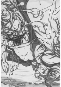 (C81) [PHYSALIS (Seresu)] Lyrical Nanoha Another Episode 02 (Mahou Shoujo Lyrical Nanoha)