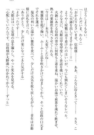 戦国犬姫!