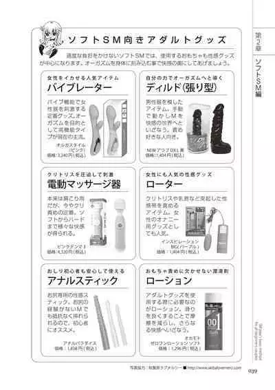 いますぐデキる 図説SMプレイマニュアル