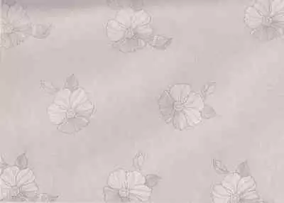 史上名妓 画魂传奇-潘玉良(上)(孙福林 2014年12月)