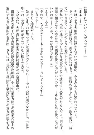 戦国犬姫!