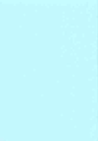 (C97) [Akusei-Shinseibutsu (Nori)] DYNAMAX XXX (Pokémon Sword and Shield) [Chinese] [我今天爆炸了个人汉化]