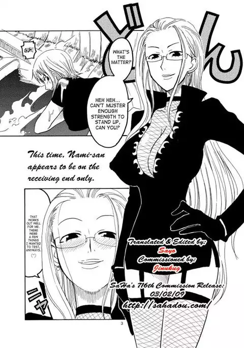 Nami's Hidden Sailing Diary 1