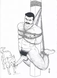 [Gengoroh Tagame][田龟源五郎] Shirogane-no-Hana The Silver Flower vol.2[银之华] [Chinese]