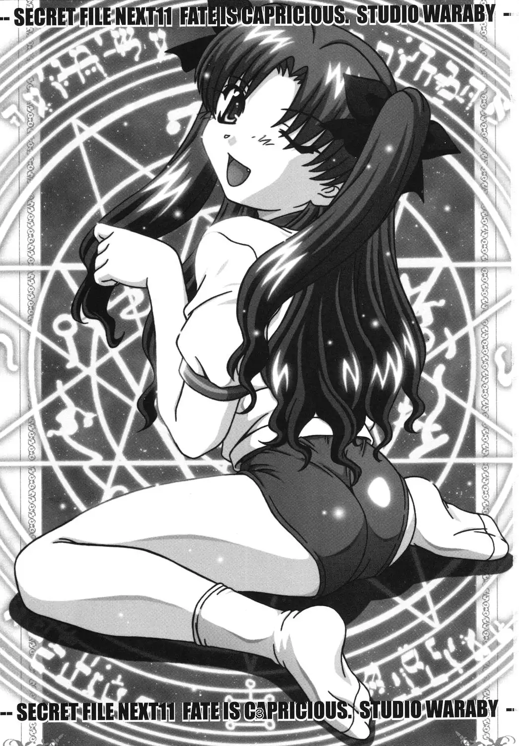 SECRET FILE NEXT 11 - Fate is capricious