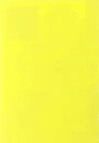 [UNI MATRIX ONE (Isou Doubaku)] RNH - Refine Ninja Hologram (Dead or Alive)