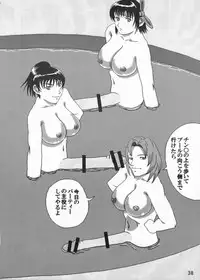 [Adeyaka Kunoichi-dan (Shiranui Mokeiten)] Adeyaka Beach (Capcom VS SNK)