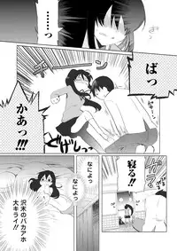 Darenimo Ienai Maru himitsu + vol.12