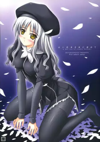 サキュバスちゃん召喚してみました
