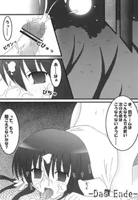 (C70) [Mirabilien Fabrik (Various)] Shoujo Yousai Rengashuu Touhou Inreika (Touhou Project)