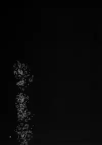 (C77) [Takatobiya (Haba Hirokazu)] Chiunippai Nagisa Onee-chan Mesuinu Nikki (Anyamaru Tantei Kiruminzoo)